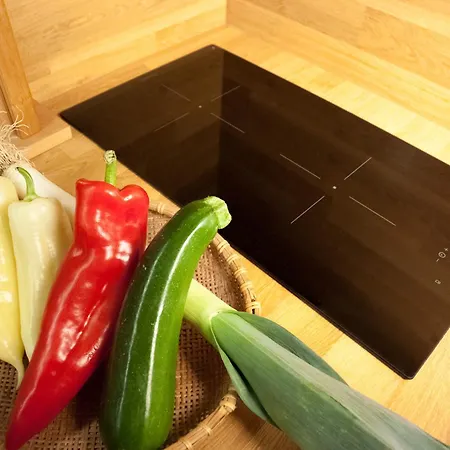 Apartmán Amalka *